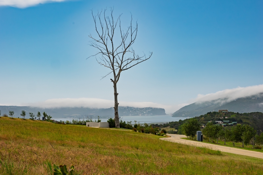 0 Bedroom Property for Sale in Welbedacht Western Cape